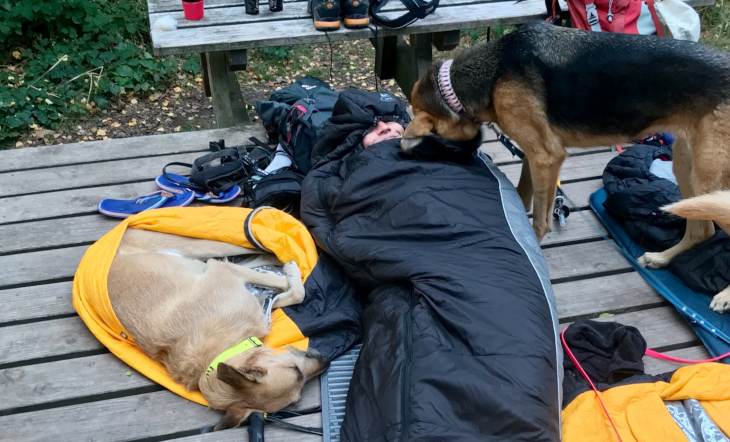 Rosa, die neben mir auf dem Naturlagerplatz schläft, und Amber, die mir zur morgendlichen Begrüßung die Nase ins Gesicht steckt.