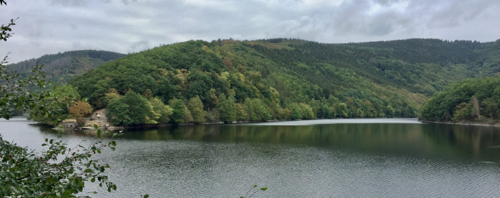 Der Stausee mit grünen Waldhängen.