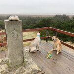 Aussichtspunkt auf Fanø