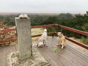 Aussichtspunkt auf Fanø