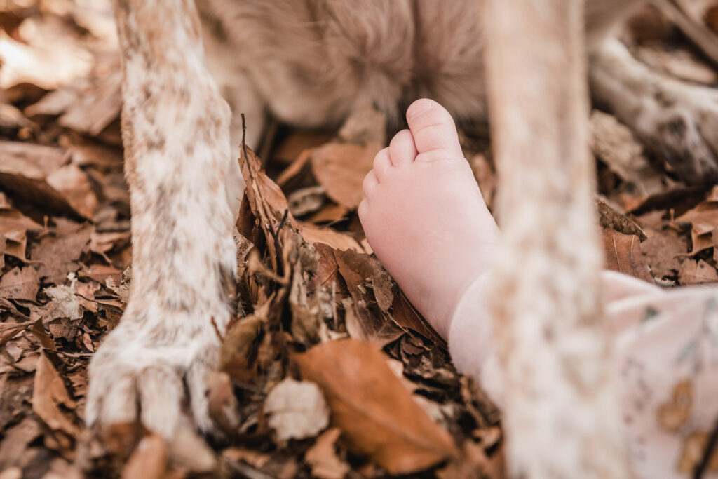Kinderfuß im Herbstlaub mit Hund