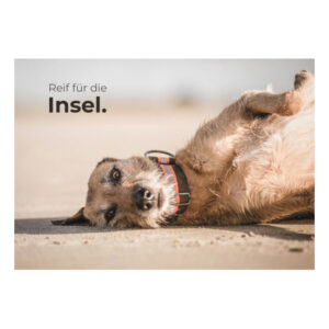 Postkarte "Insel"