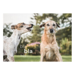 Postkarte "blablabla"